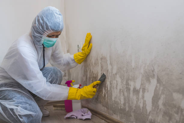 Best Forensic Mold Investigation  in Trumansburg, NY