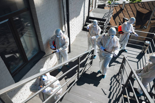 Trusted Trumansburg, NY Mold Removal Experts