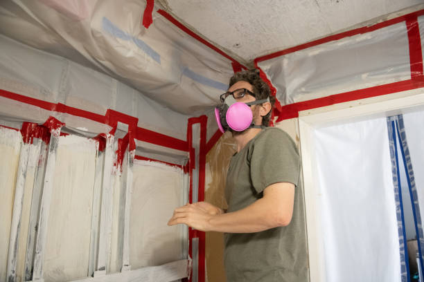 Best Black Mold Removal  in Trumansburg, NY