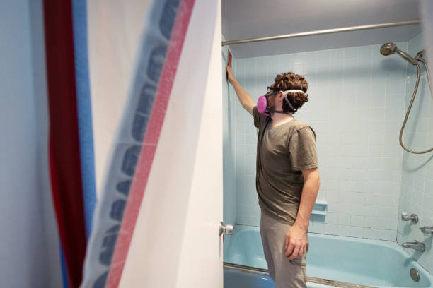 Best Mold Odor Removal Services  in Trumansburg, NY